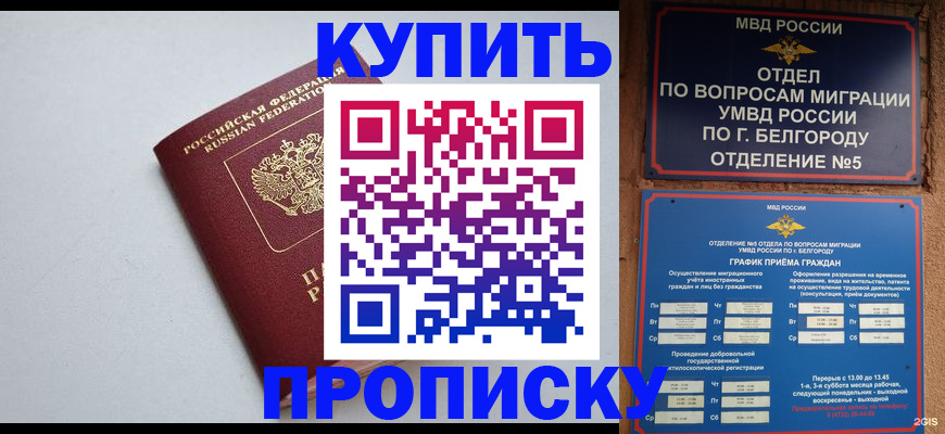 прописка регистрация в Оленегорске